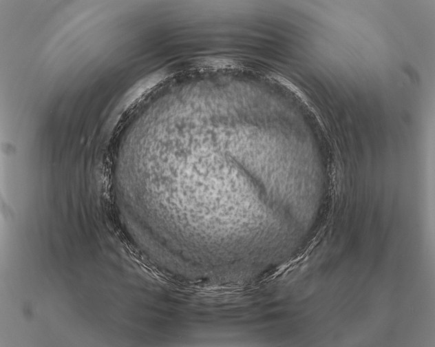 X0000090600823200708071141