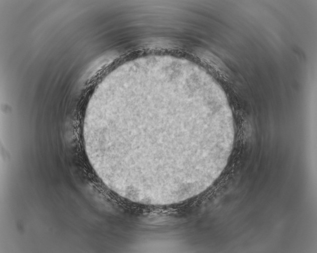 X0000090600824200708071141