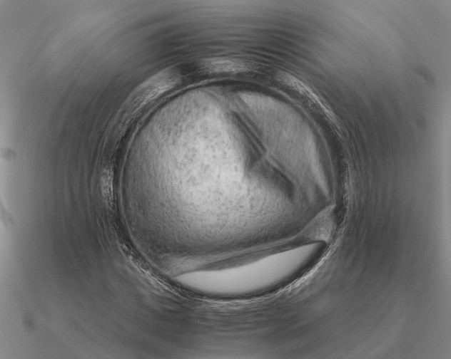 X0000090600825200708071141