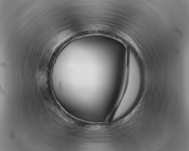 X0000090600826200708071141