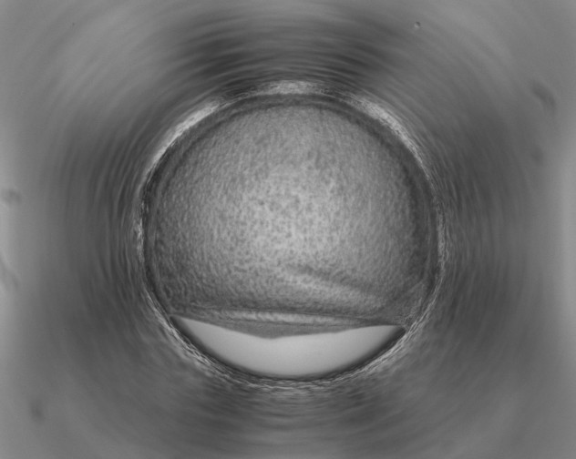 X0000090600827200708071141