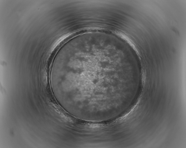 X0000090600829200708071141