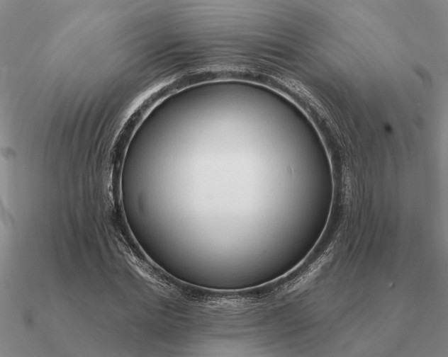 X0000090600830200708071141