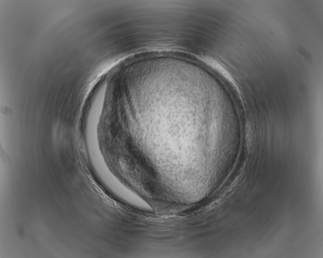 X0000090600831200708071141