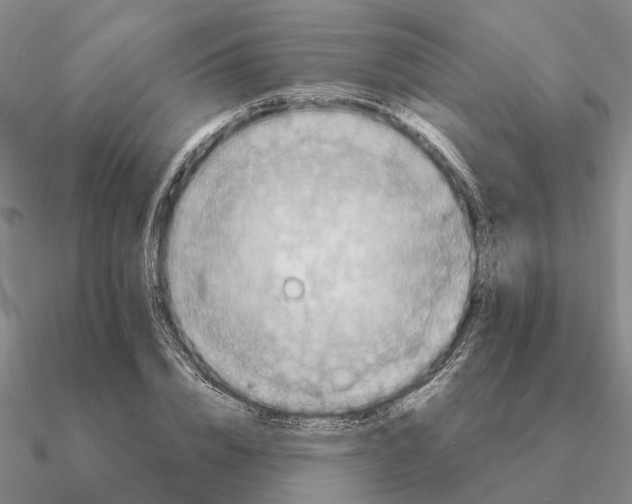 X0000090600832200708071141