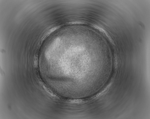 X0000090600833200708071141