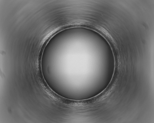 X0000090600834200708071141