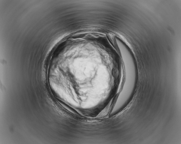 X0000090600835200708071141