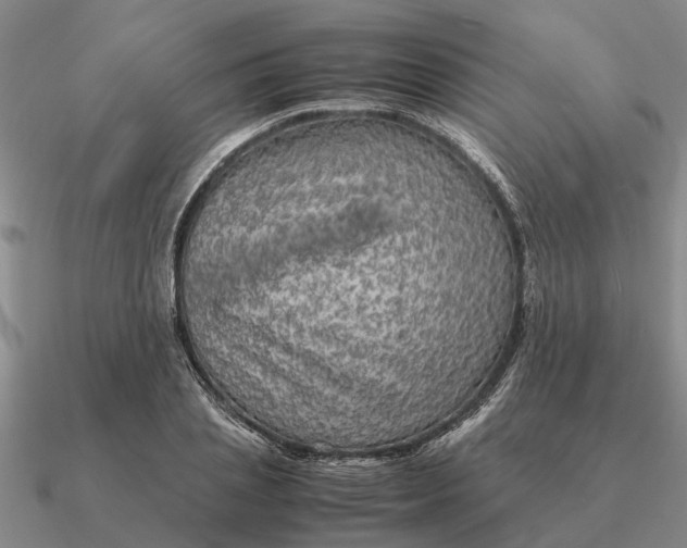 X0000090600837200708071141