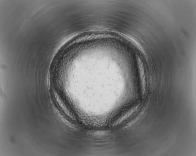 X0000090600839200708071141