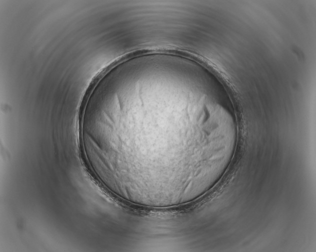 X0000090600840200708071141