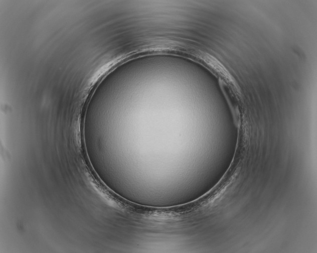 X0000090600842200708071141