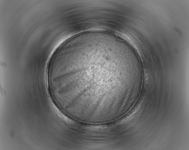 X0000090600843200708071141