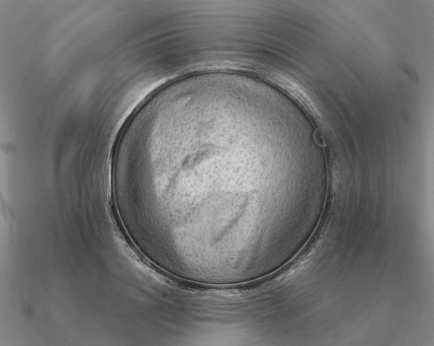 X0000090600844200708071141