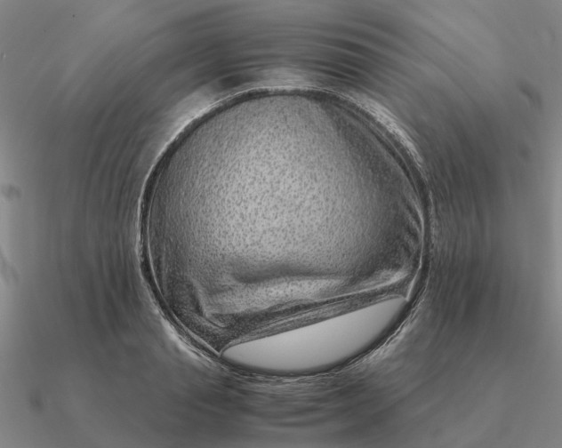 X0000090600845200708071141