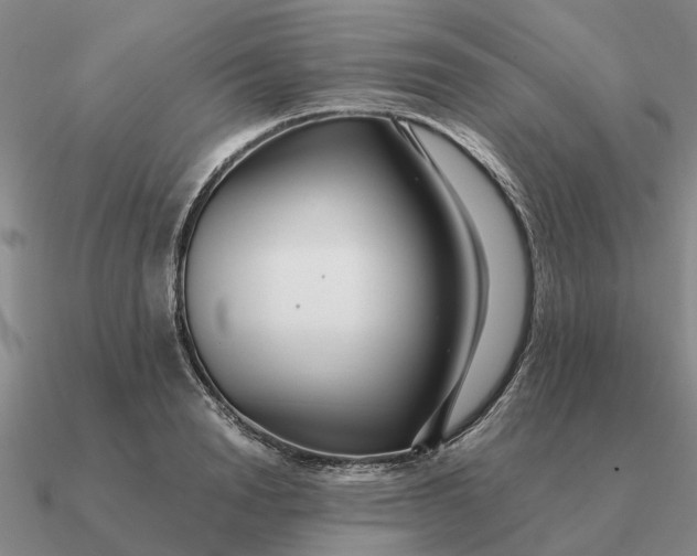 X0000090600846200708071141