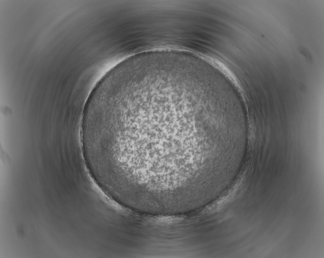 X0000090600847200708071141