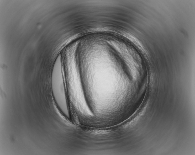 X0000090600849200708071141