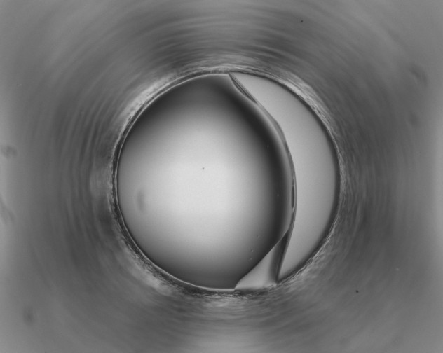 X0000090600850200708071141