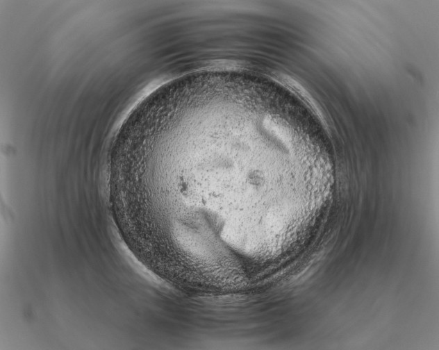 X0000090600851200708071141