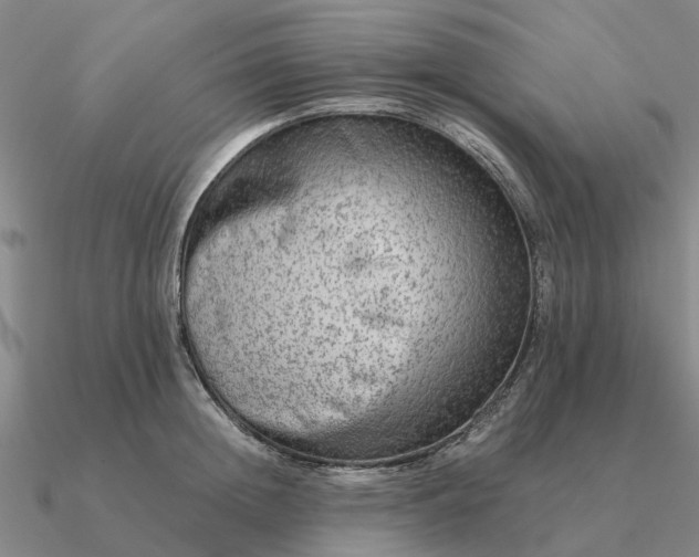 X0000090600852200708071141