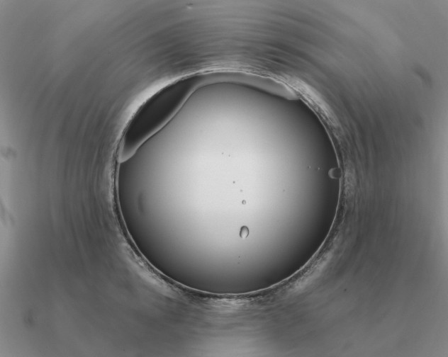 X0000090600854200708071141