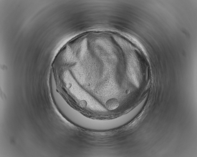 X0000090600855200708071141