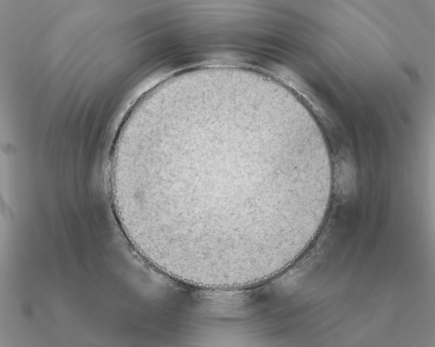 X0000090600856200708071141