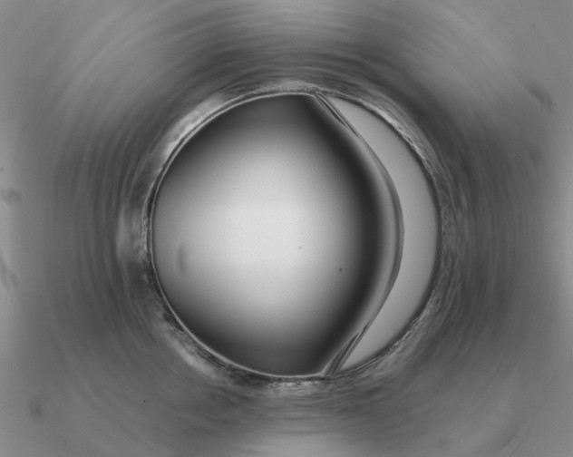 X0000090600858200708071141