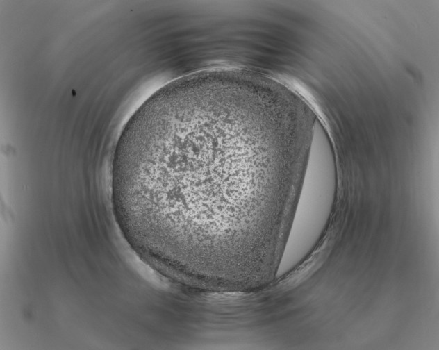 X0000090600859200708071141