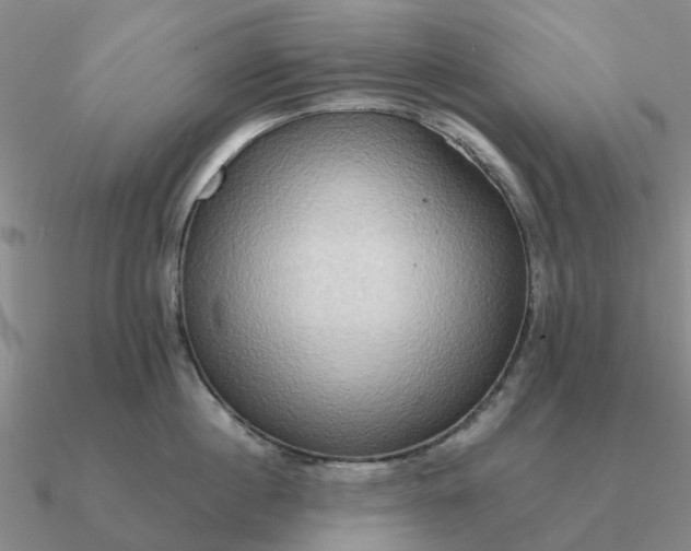 X0000090600860200708071141