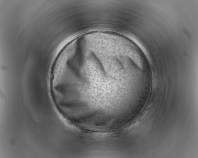 X0000090600861200708071141