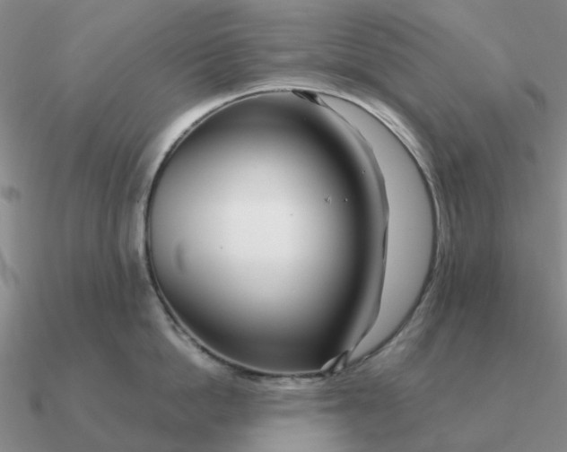 X0000090600862200708071141