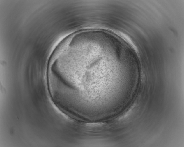 X0000090600863200708071141