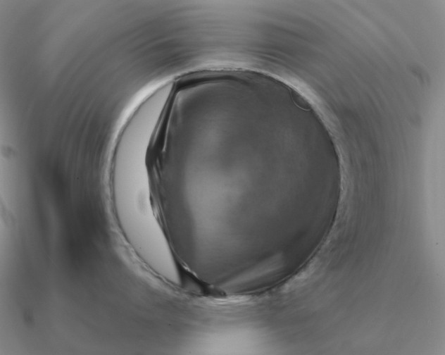 X0000090600864200708071141