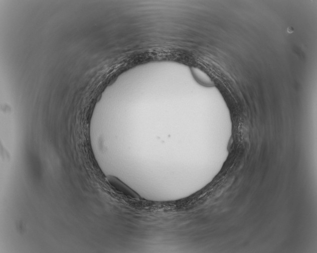 X0000090600865200708071141