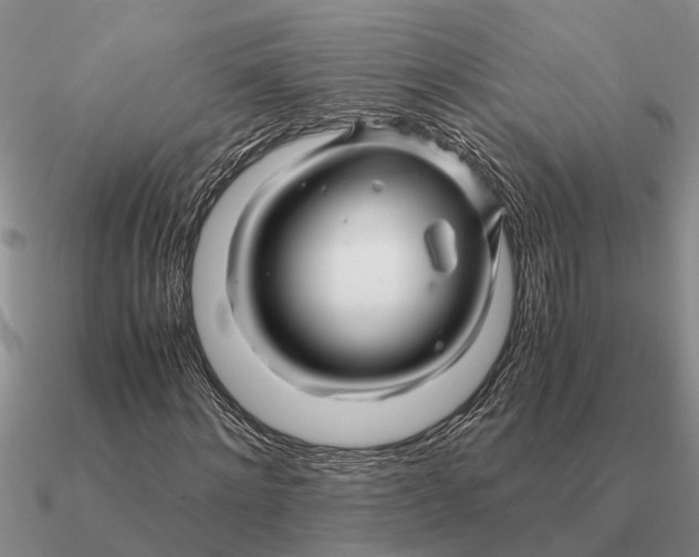 X0000090600868200708071140