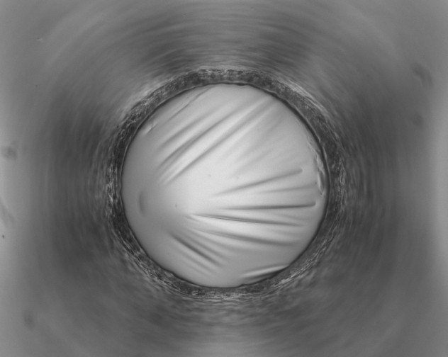 X0000090600870200708071140