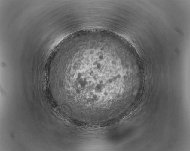 X0000090600871200708071140