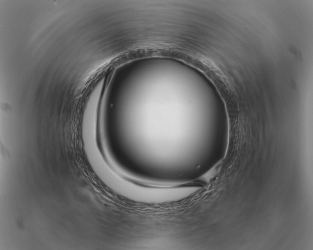 X0000090600872200708071140