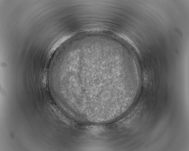 X0000090600874200708071140