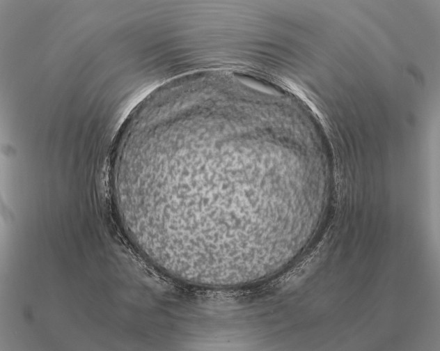 X0000090600875200708071140