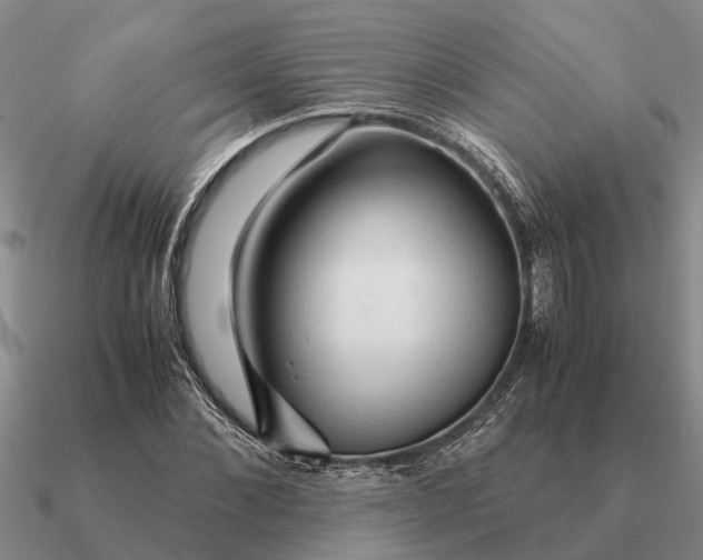 X0000090600876200708071140