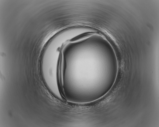 X0000090600877200708071140