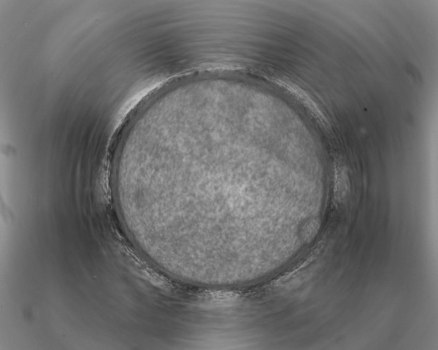 X0000090600878200708071140