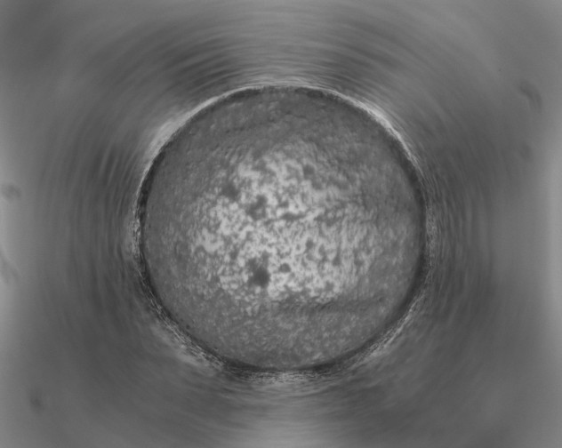 X0000090600879200708071140