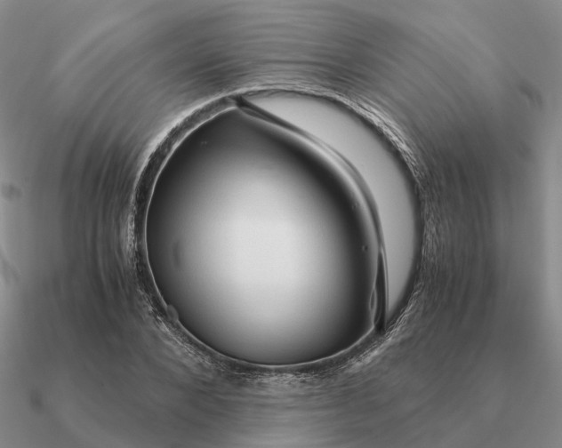 X0000090600880200708071140