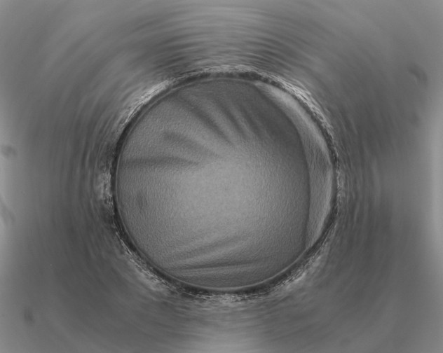 X0000090600881200708071140