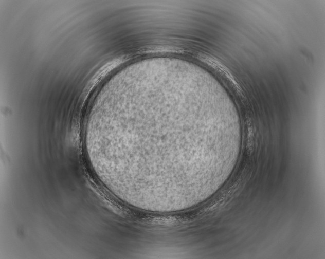 X0000090600882200708071140