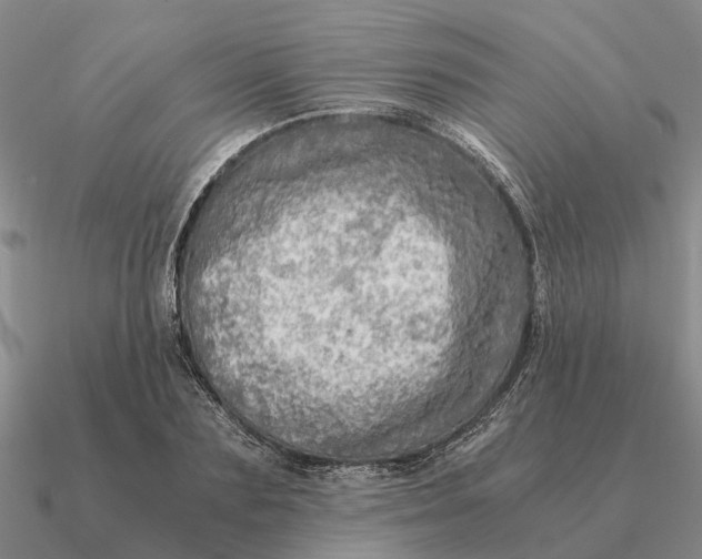 X0000090600883200708071140